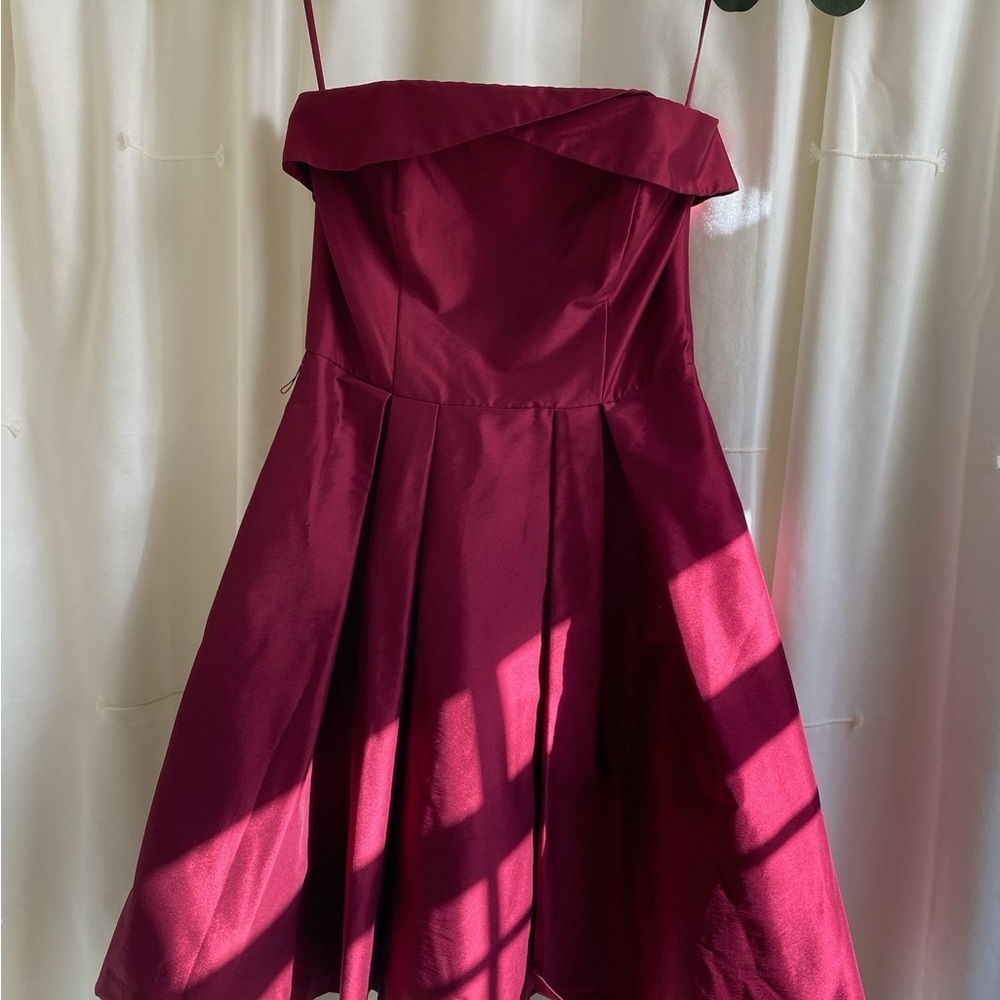 Elegant Burgundy Dress